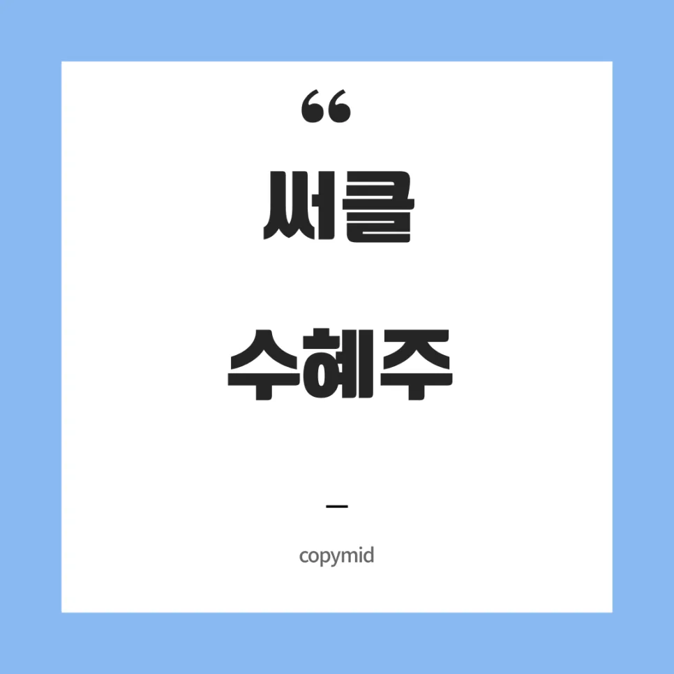 써클(Circle) 10배 상승, 국내 수혜주 전망 2026년 총정리
