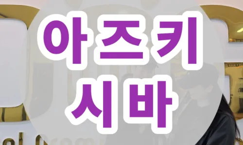 세종 아즈키 시바견 분양, 작은 시바견 입양 전 필수 체크리스트 2026 2