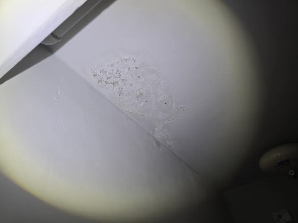 아파트 베란다 누수, 페인트 벗겨짐 2026년 해결책은? — 비즈니스·경제 — waterleaksos