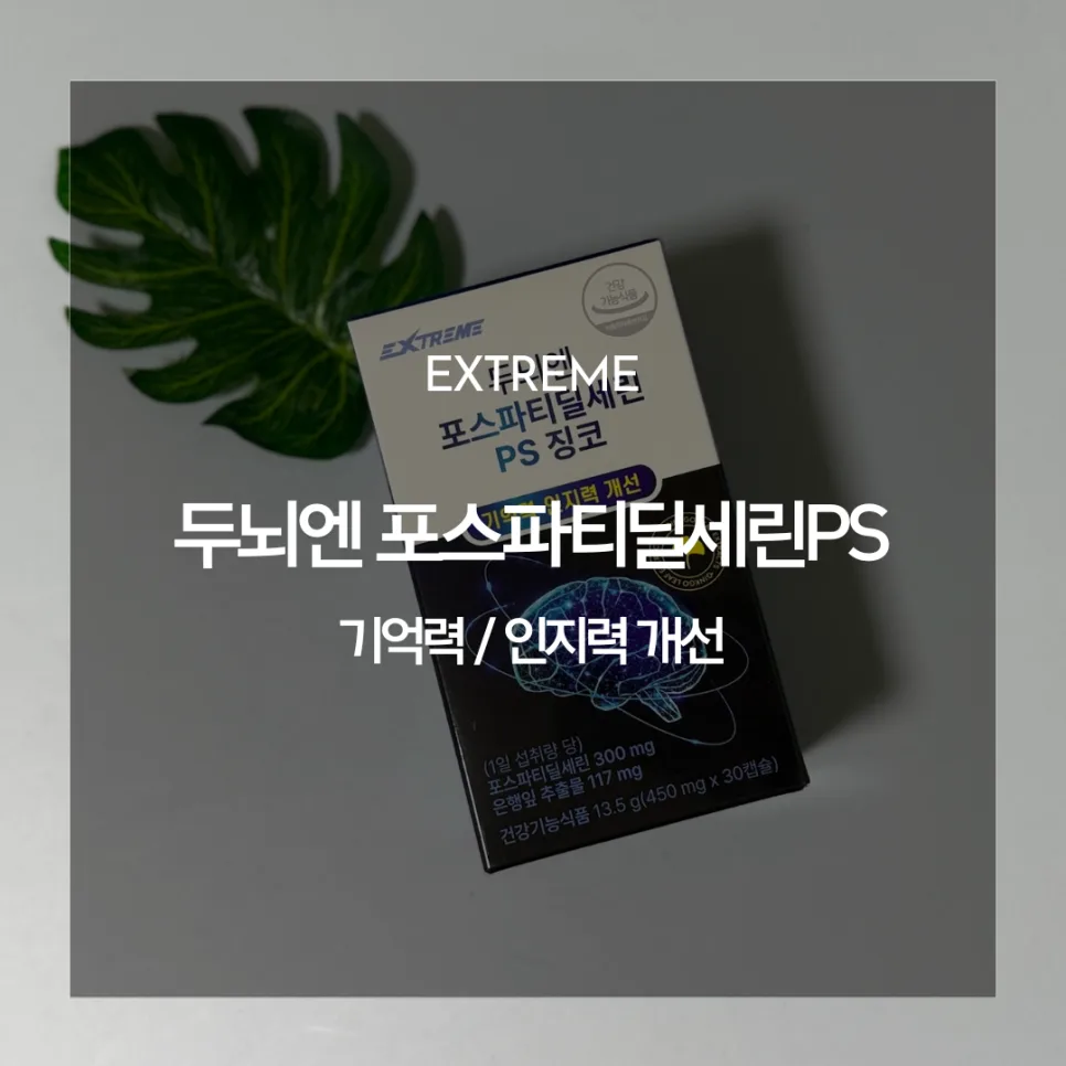 포스파티딜세린 PS 징코 2026: 기억력 개선 효과와 복용법 총정리 — 건강·의학 — catharsis486