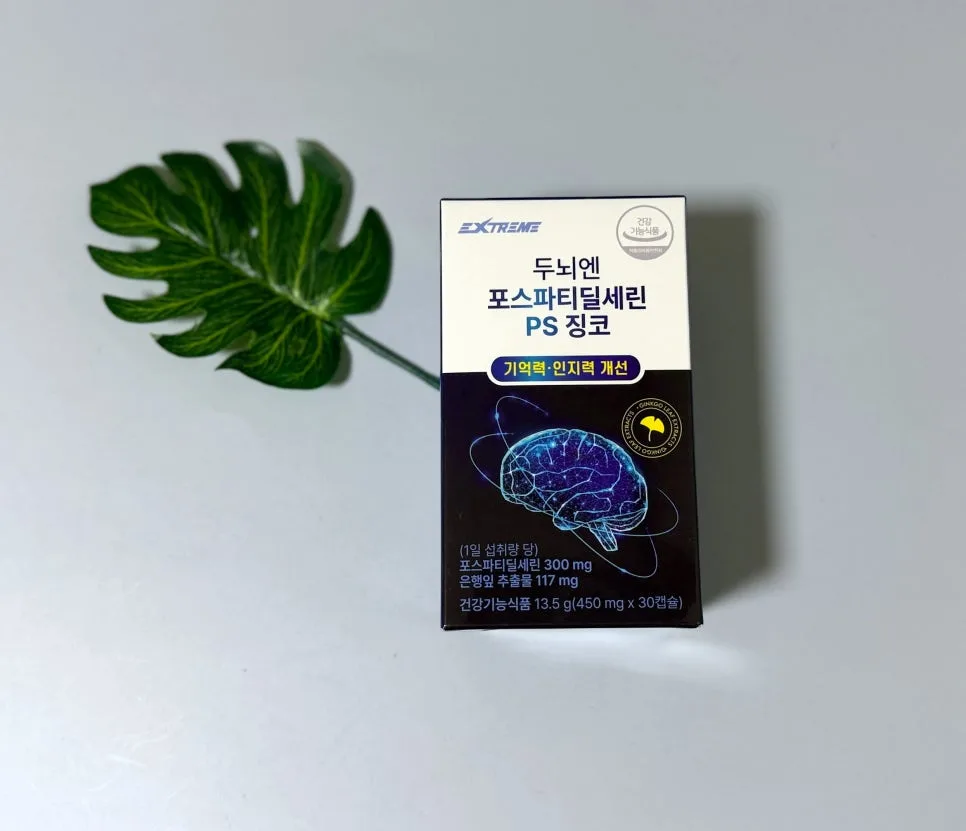 포스파티딜세린 PS 징코 2026: 기억력 개선 효과와 복용법 총정리 2