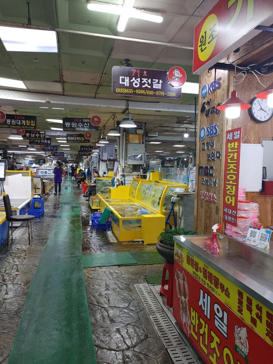 속초 관광수산시장 지하 회센터 완벽 가이드 2026 3