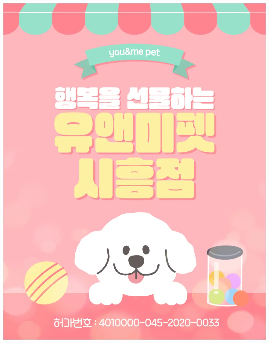 2026년 일산 비숑프리제 분양, 유앤미펫 경험 기반 건강한 반려견 찾는 법