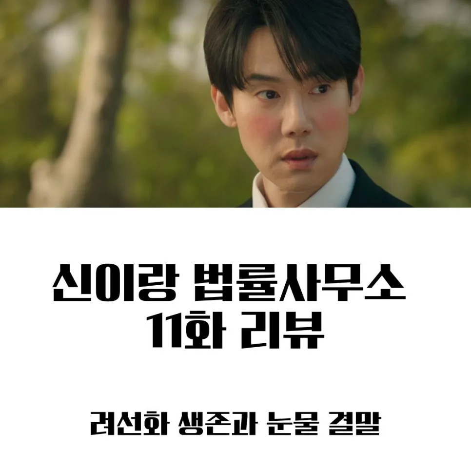신이랑 법률사무소 11회: 50년 오해 풀린 진실과 다음 사건 예고 2026 2
