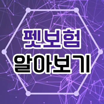 마이브라운 펫보험 2026년, 가입 전 필수 체크리스트 5가지 2