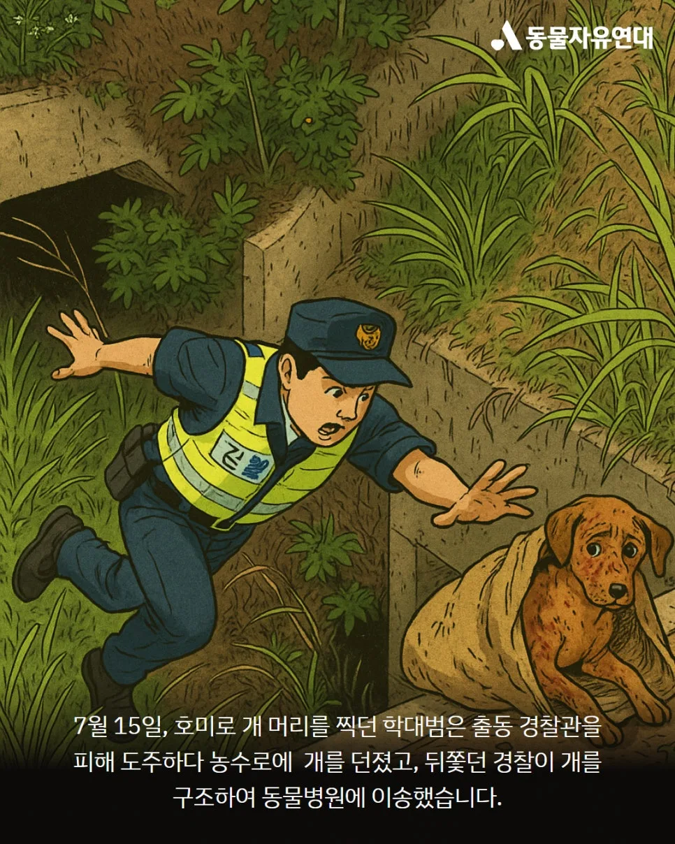 정읍 개 학대 사건: 호미 학대범 검거 및 구조견 회복 과정 2026 3