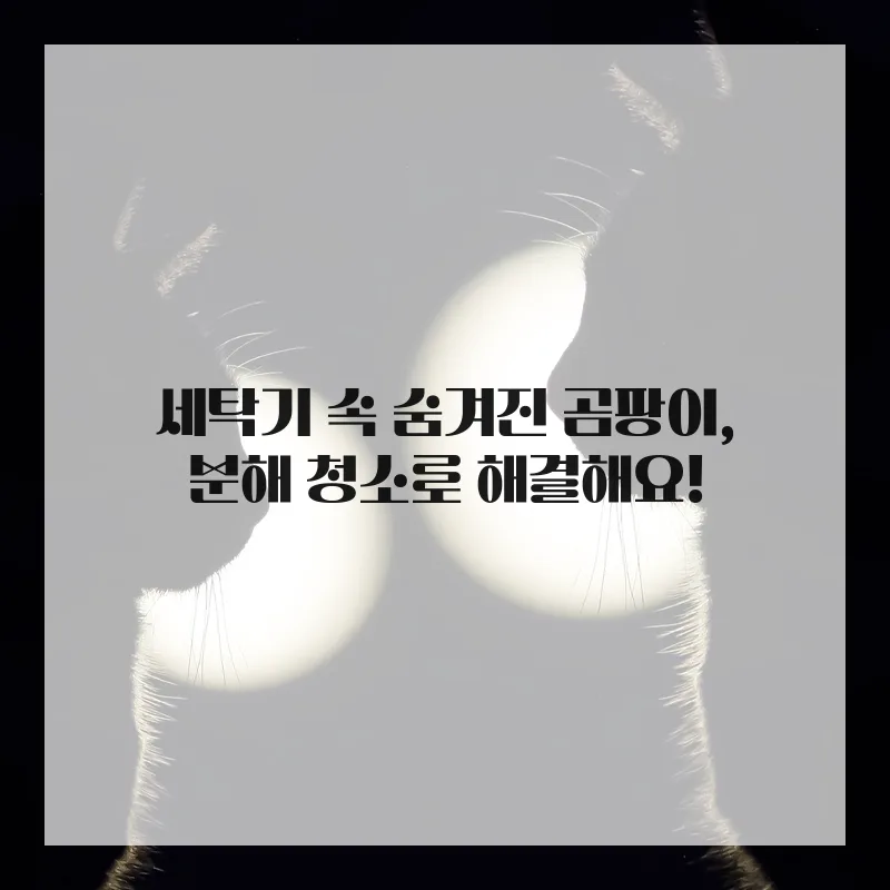 집안 묵은 때 청소 비법 2026: 에어컨·세탁기 완벽 케어 2