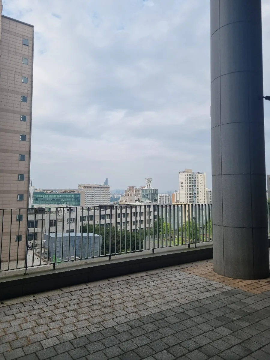 5년 만의 대면 강의 적응기: 대학생의 솔직한 일상 2026 2