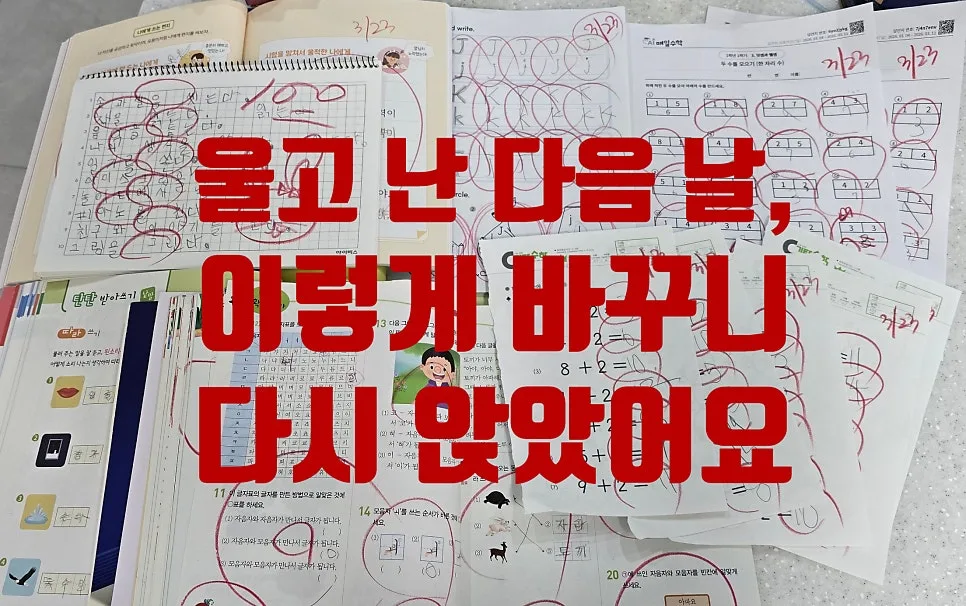 초1 엄마표 공부, 울었던 아이 다시 앉히는 법 2026 — 교육·학문 — minmin_mom