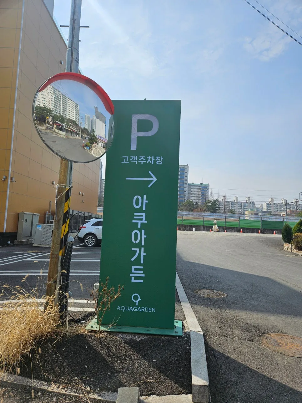 일산 아쿠아가든, 이색 카페 경험 2026년 방문 후기 2