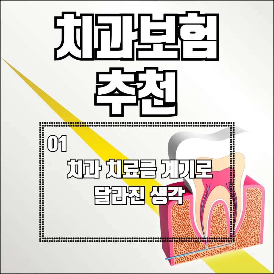 2026년 치과보험, 나에게 맞는 보장 찾는 법 3단계 2