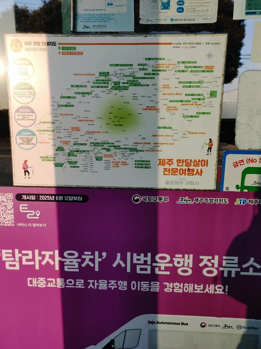 제주 중문 마트·다이소·한식뷔페 2026년 총정리 3
