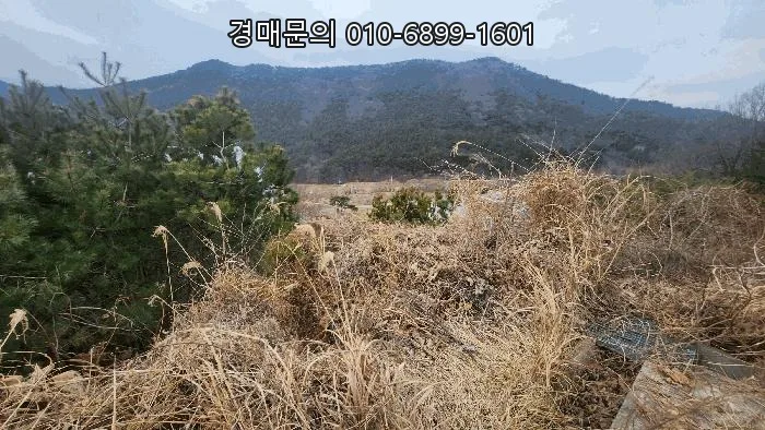 고성군 대형 공장 경매, 2026년 투자 기회 분석 3
