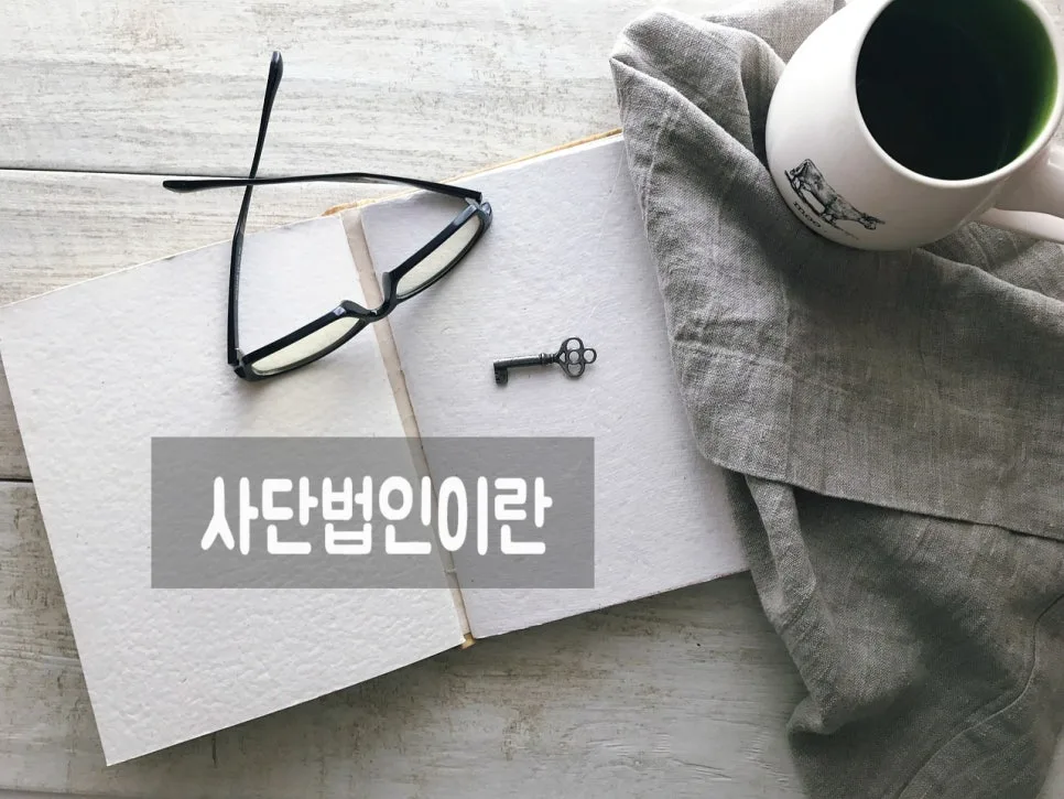 비영리사단법인 설립 절차 및 서류 작성 가이드 2026 2