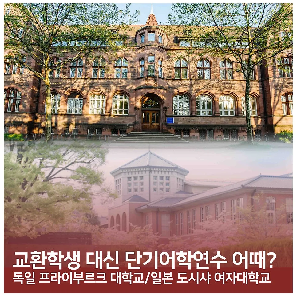 독일/일본 단기 어학연수 2026: 교환학생 대안 될까? — 교육·학문 — seoul_womens