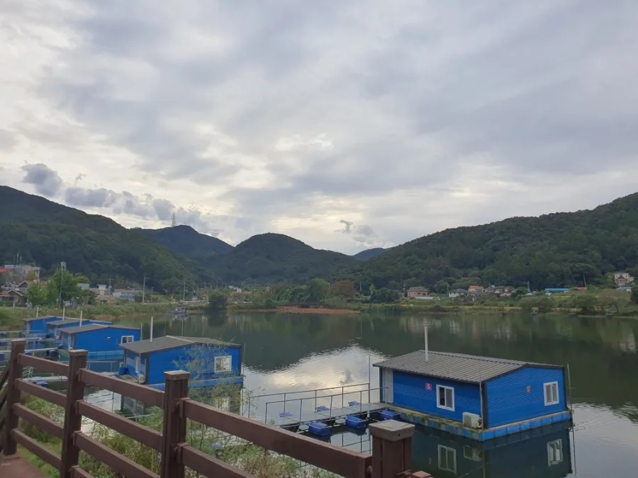 용인 신원낚시터 2026: 1박 비용, 시설, 주의사항 완벽 정리 2