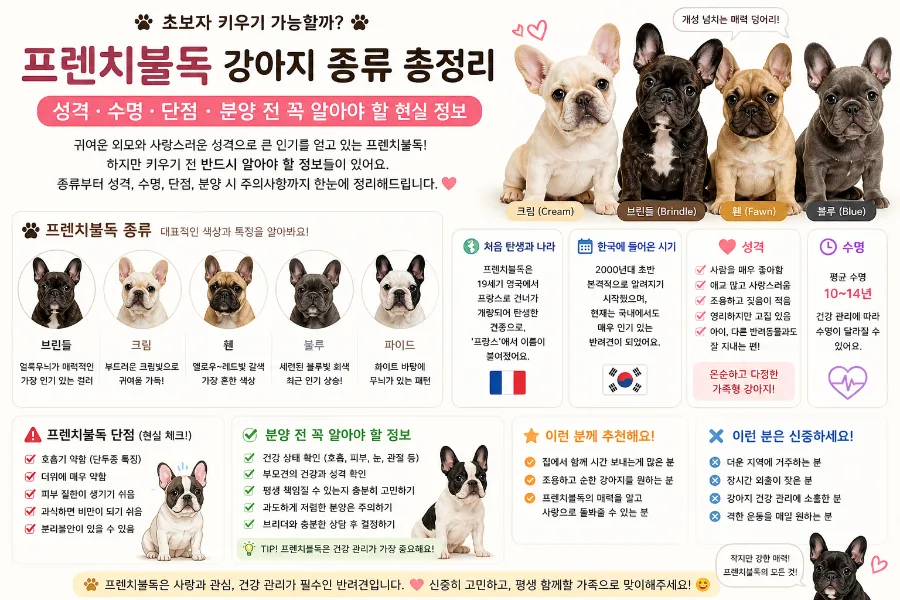 프렌치불독 키우기 현실 정보 2026: 단점, 수명, 비용 완벽 분석