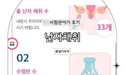 난소과자극증후군 입원 경험 2026: 보험금 청구 A to Z 2
