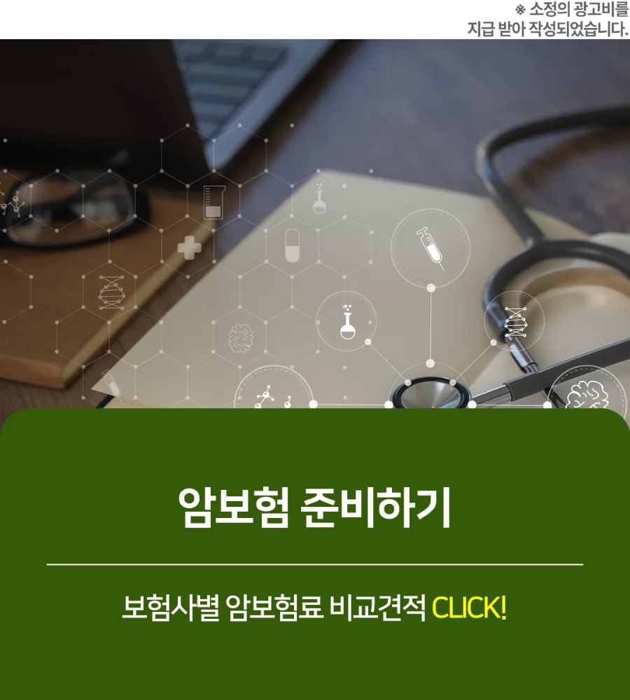 암보험 갱신형 vs 비갱신형 2026년 비교: 나에게 맞는 선택은? 2