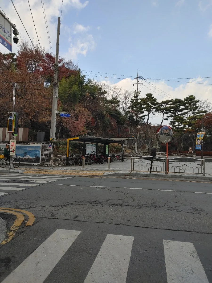 함안 한달살기 2026: 말이정 단풍 & 더문모텔 숙박 후기 3