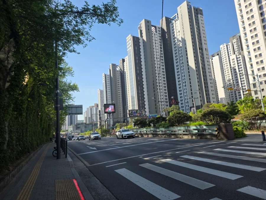 Seoraehyang Jjamppong Review 2026: Seoul's Best Noodles? 2