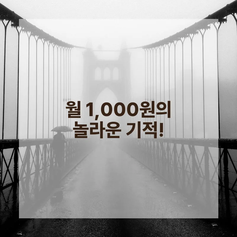 온라인 부동산 투자 2026: 월 1천원으로 동 단위 영업망 확장 2