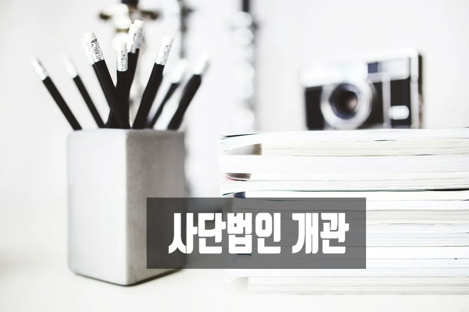 사단법인 설립 절차와 허가 기준 완벽 분석 2026 2