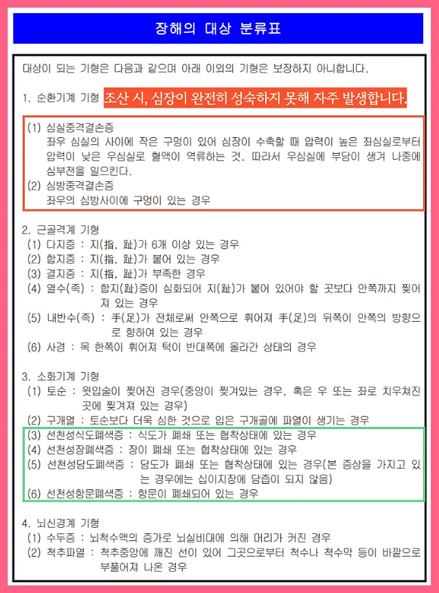 조산아 태아보험 2026년 핵심 보상 총정리: 뇌출혈, 저체중아, 심실중격결손 3