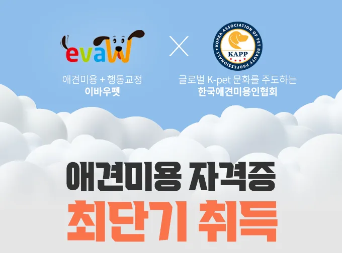창원 애견미용 국비지원 2026년 혜택 총정리 — 교육·학문 — yeppi1207