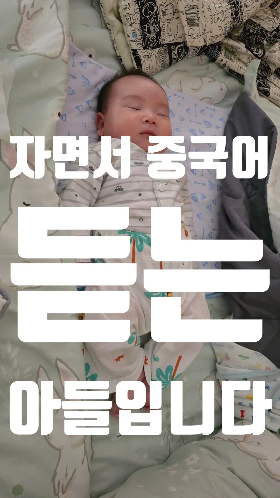 중국인 친구 마음 사로잡는 필수 중국어 회화 2026년 완벽 정리 3