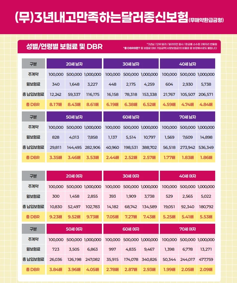 DBR 6.2배? 메트라이프 달러종신보험 2026년 핵심 분석 2