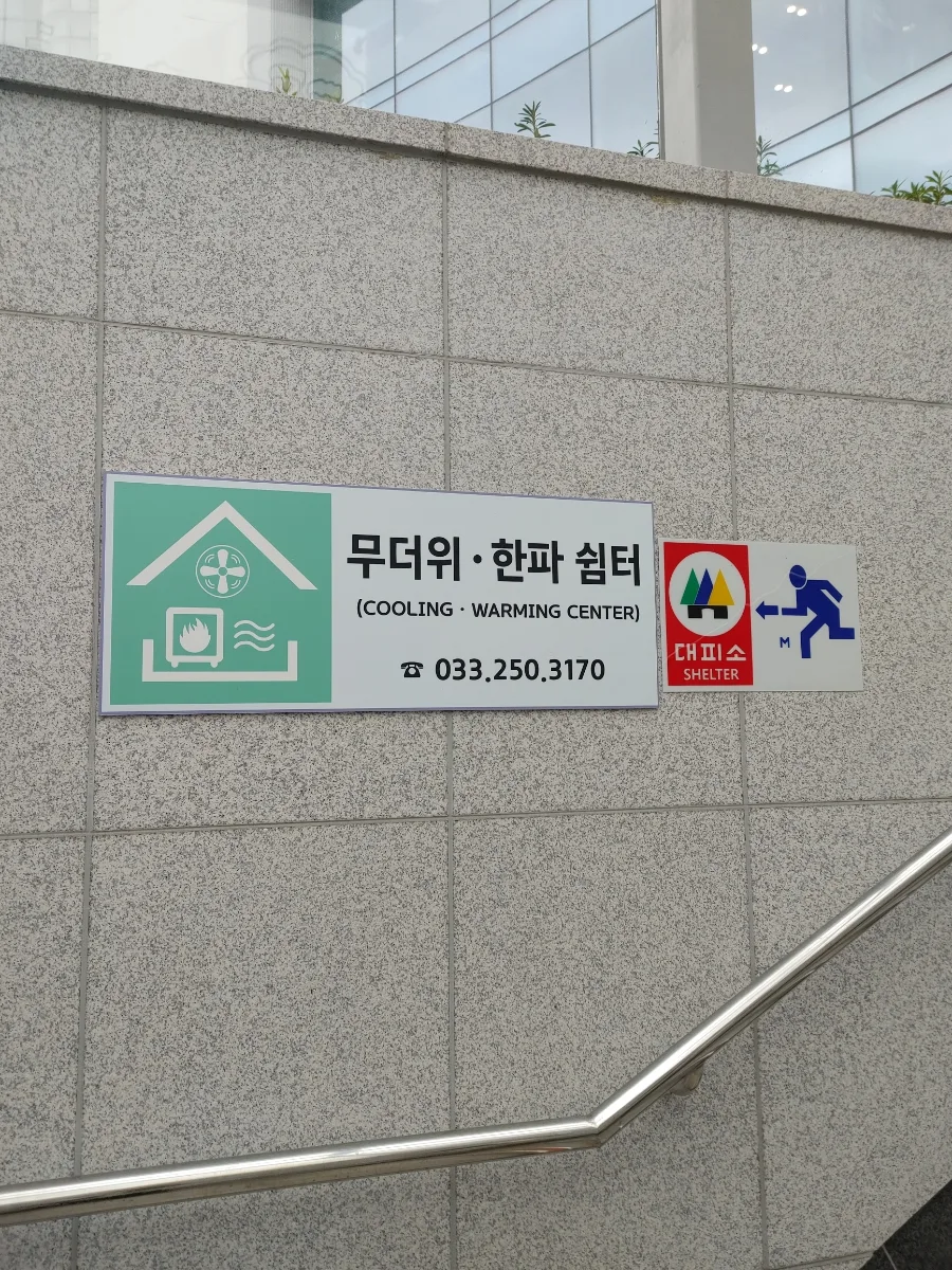 춘천 동행 축제 2026: 로컬 푸드, 마임 공연, 밤 따기 경험 총정리 3