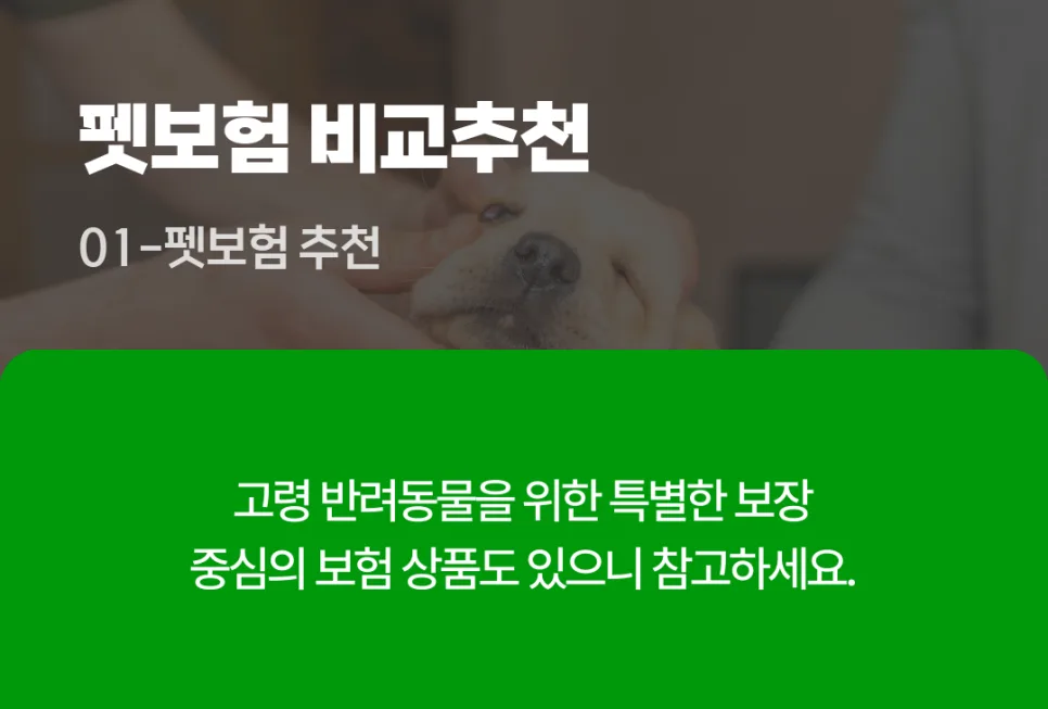2026년 펫보험, 강아지/고양이 필수 보장과 현명한 선택법 2