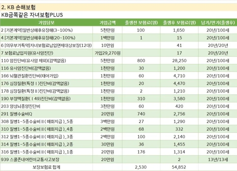 2026년 태아보험 가입 가이드: 실비, 30세 vs 100세 만기 비교 2