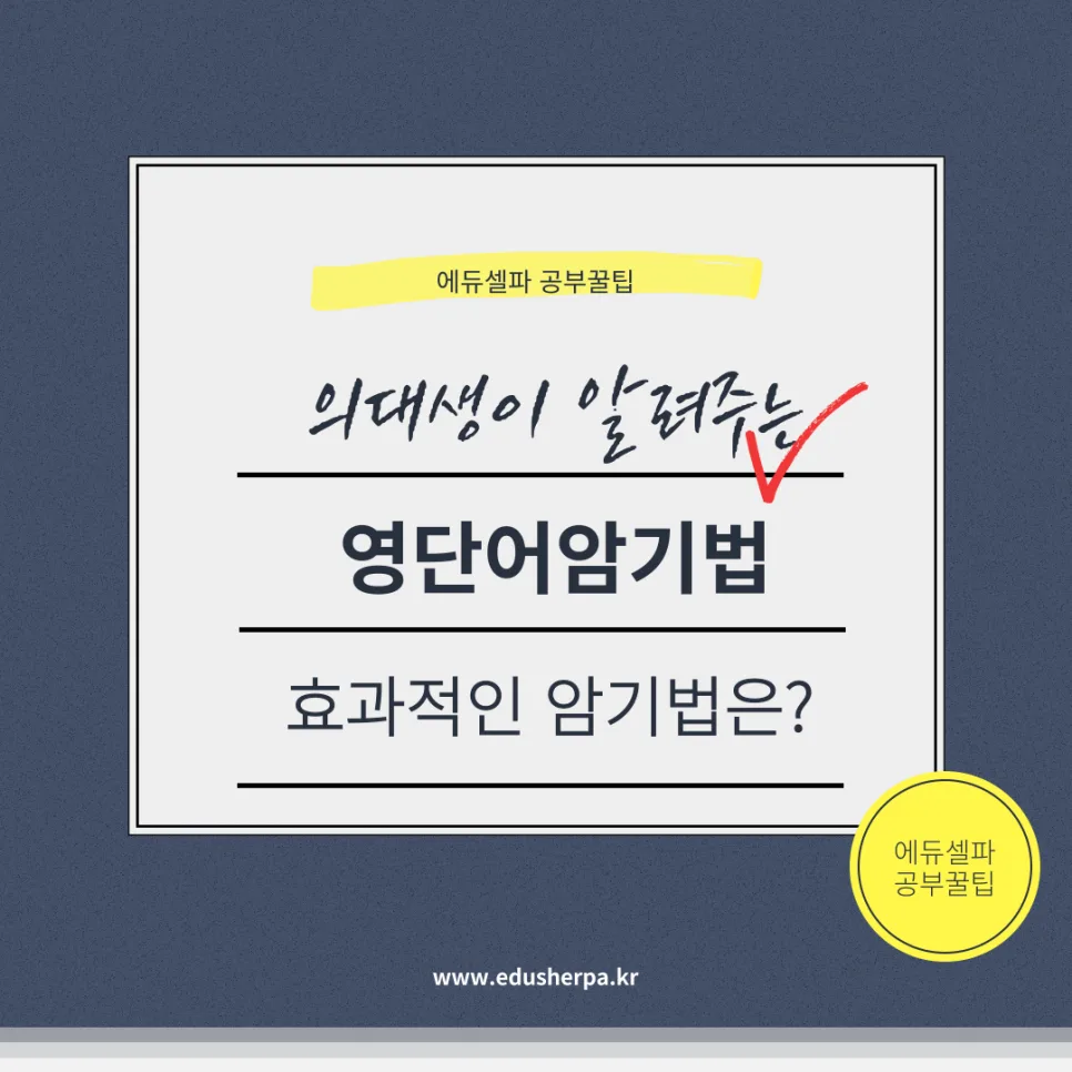 영단어 암기법 2026: 잊지 않고 오래 기억하는 5가지 비결 — 어학·외국어 — realedusherpa 1