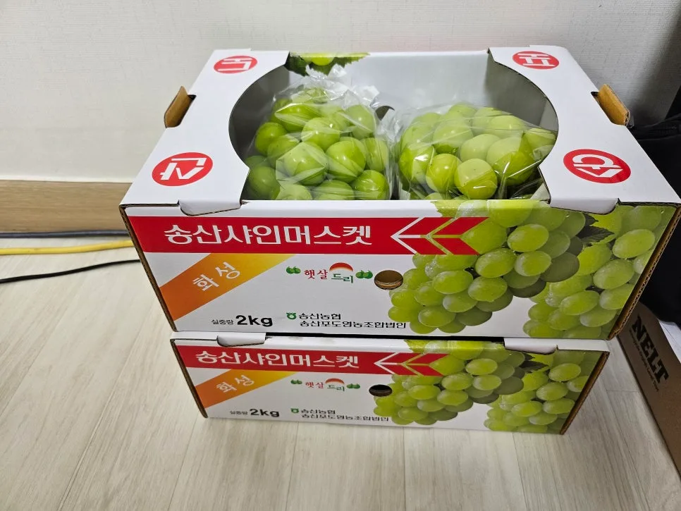 2026년 2학기 중간고사 시험범위와 일정 완벽 분석 2