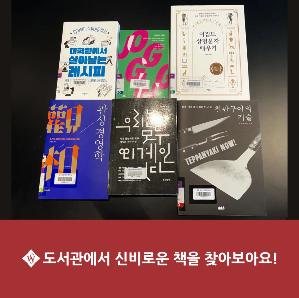 도서관 숨은 보석 찾기: 신비로운 책 7권 추천 2026 — 문학·책 — seoul_womens
