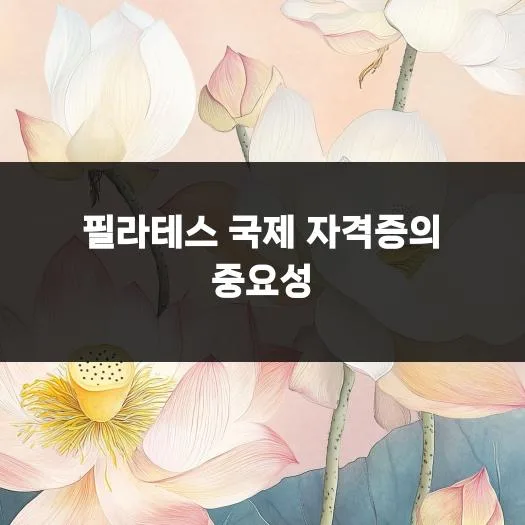 필라테스 국제 자격증 취득 과정 2026: 필수 정보 총정리 2