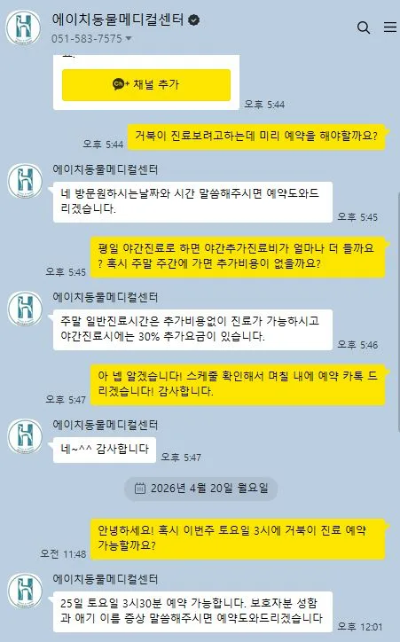 부산 거북이 폐렴 진료비 2026: 에이치동물메디컬센터 경험자 후기