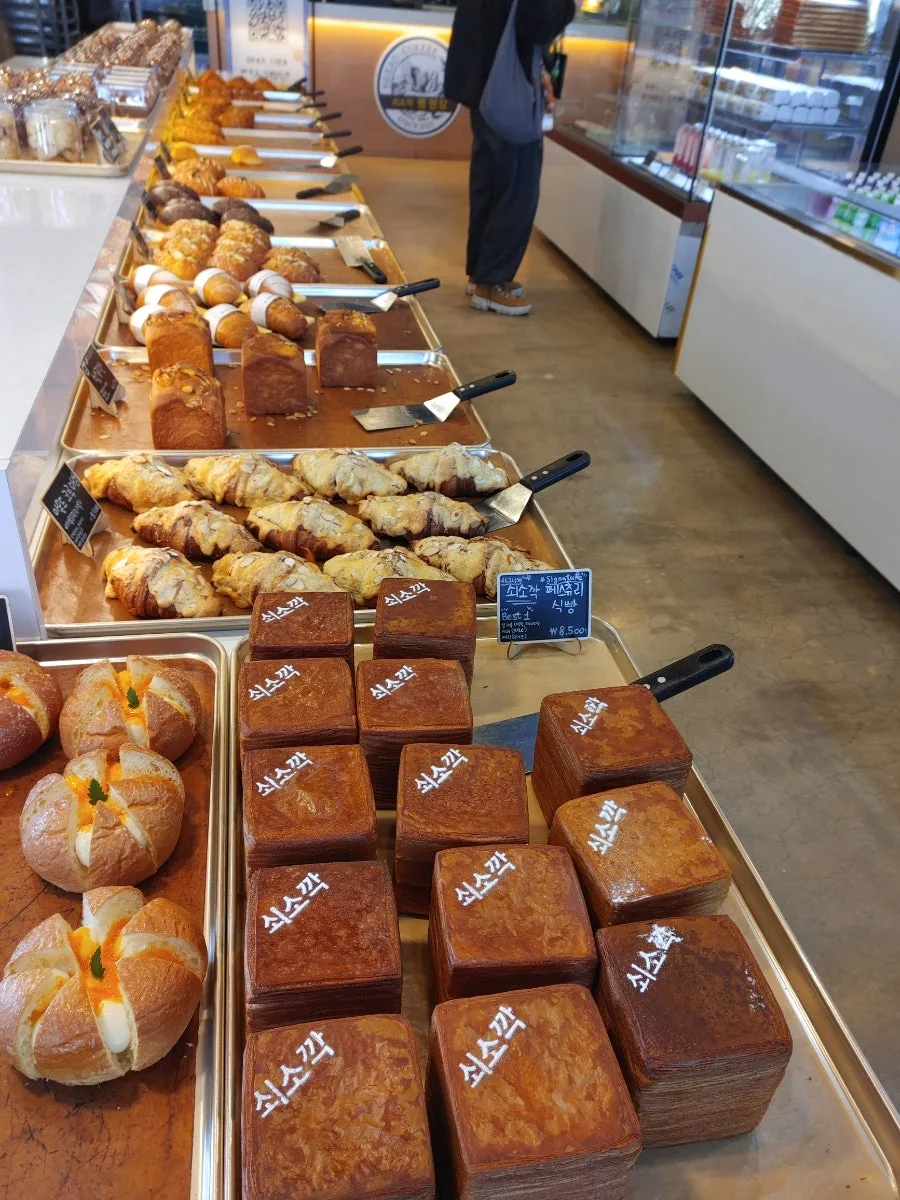 제주 겨울 여행 2026: 빵지순례부터 올레시장 맛집까지 3