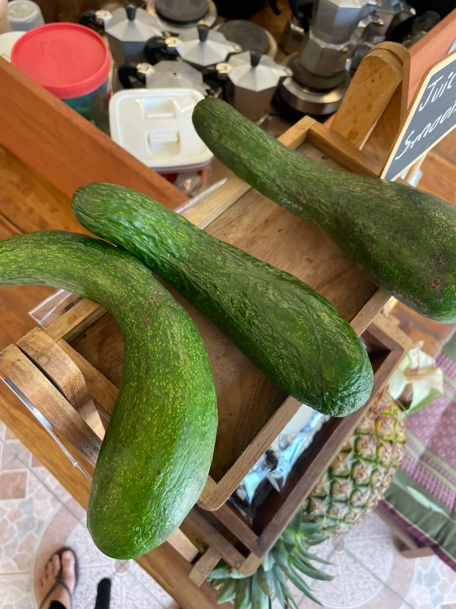 치앙마이 한달살이, 익숙함 속 새로운 설렘 찾는 법 2026 2