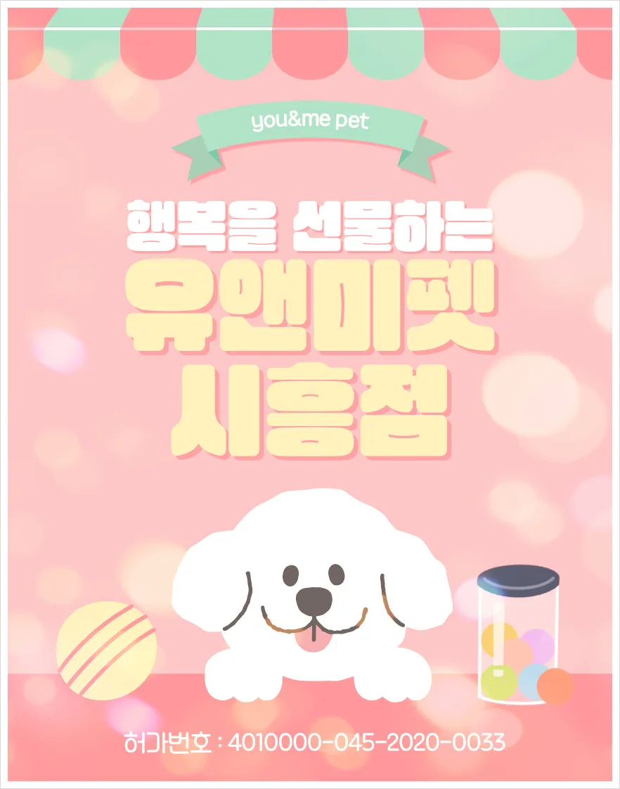 2026년 광명 말티푸 분양, 유앤미펫에서 만난 반려견 이야기