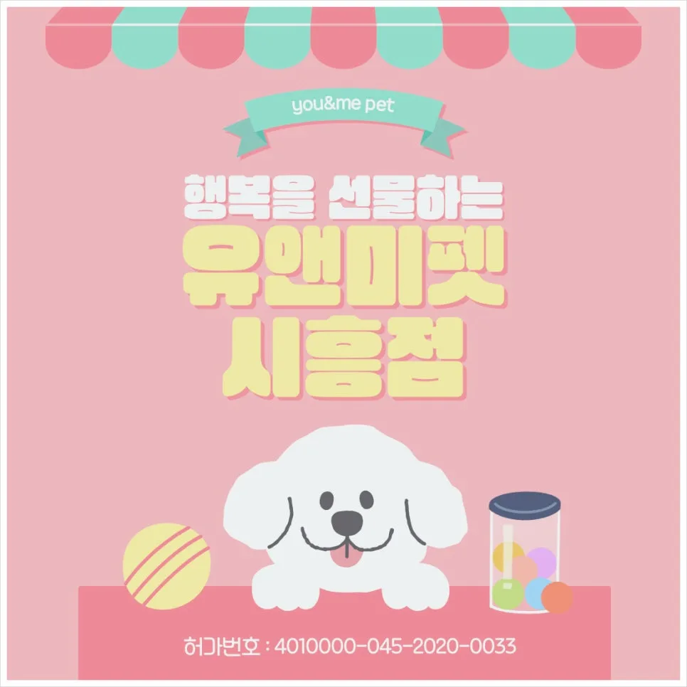 부천 러시안블루 분양 2026: 유앤미펫 경험담과 선택 가이드