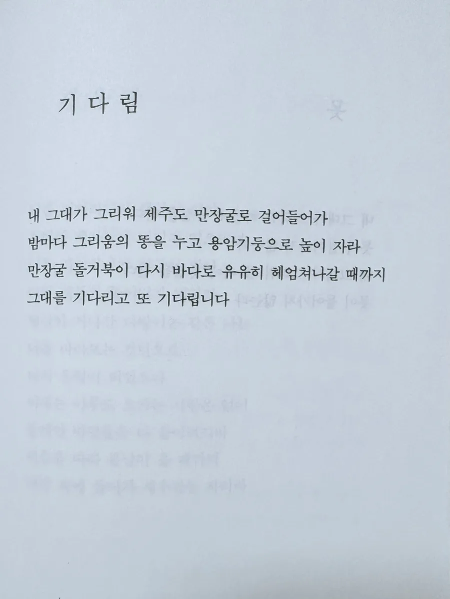 정호승 시 '기다림'과 '갈대를 위하여' 깊이 읽기 2026 3