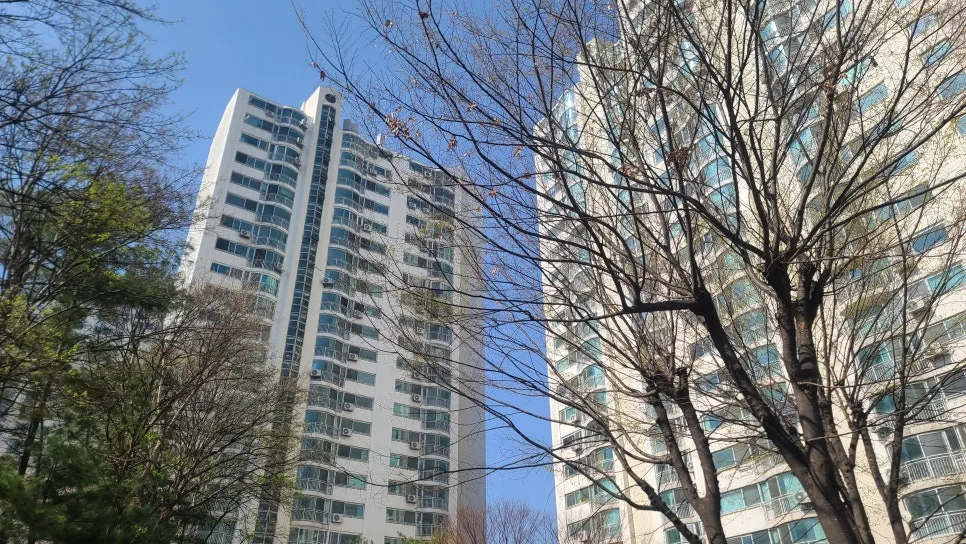 2026년 세대주 변경 완벽 가이드: 청약·세금 전략 총정리 2