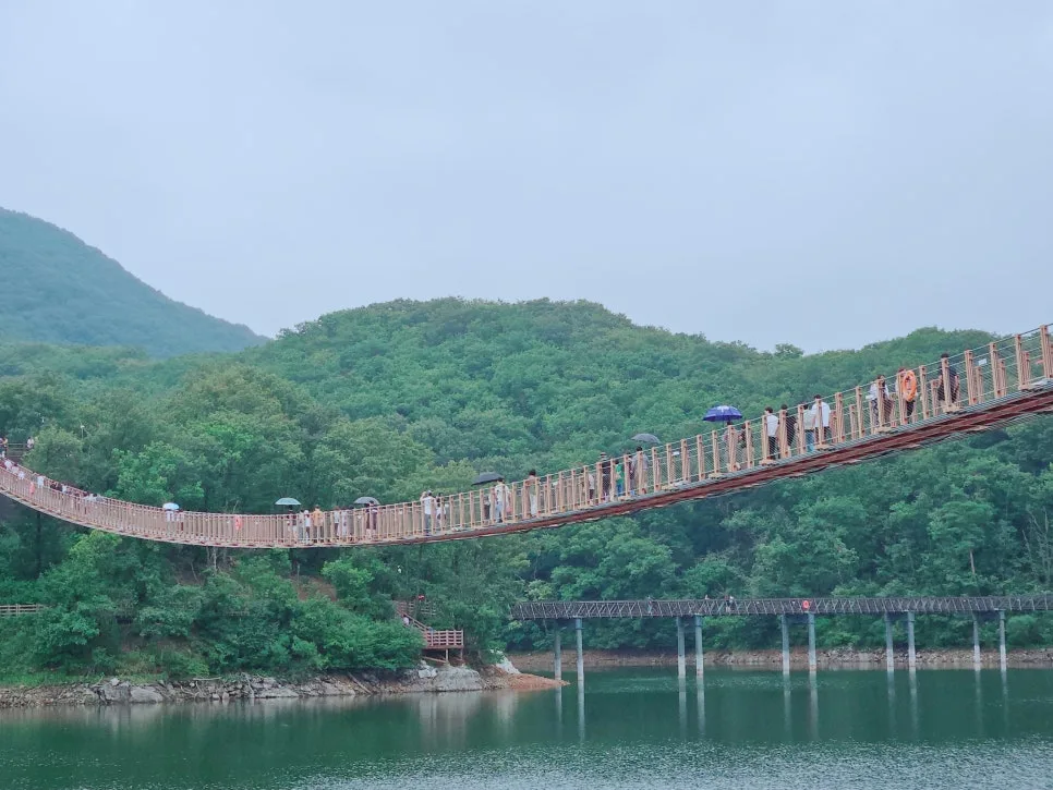 파주 마장호수 출렁다리: 비 오는 날 주말 나들이 코스 2026 2