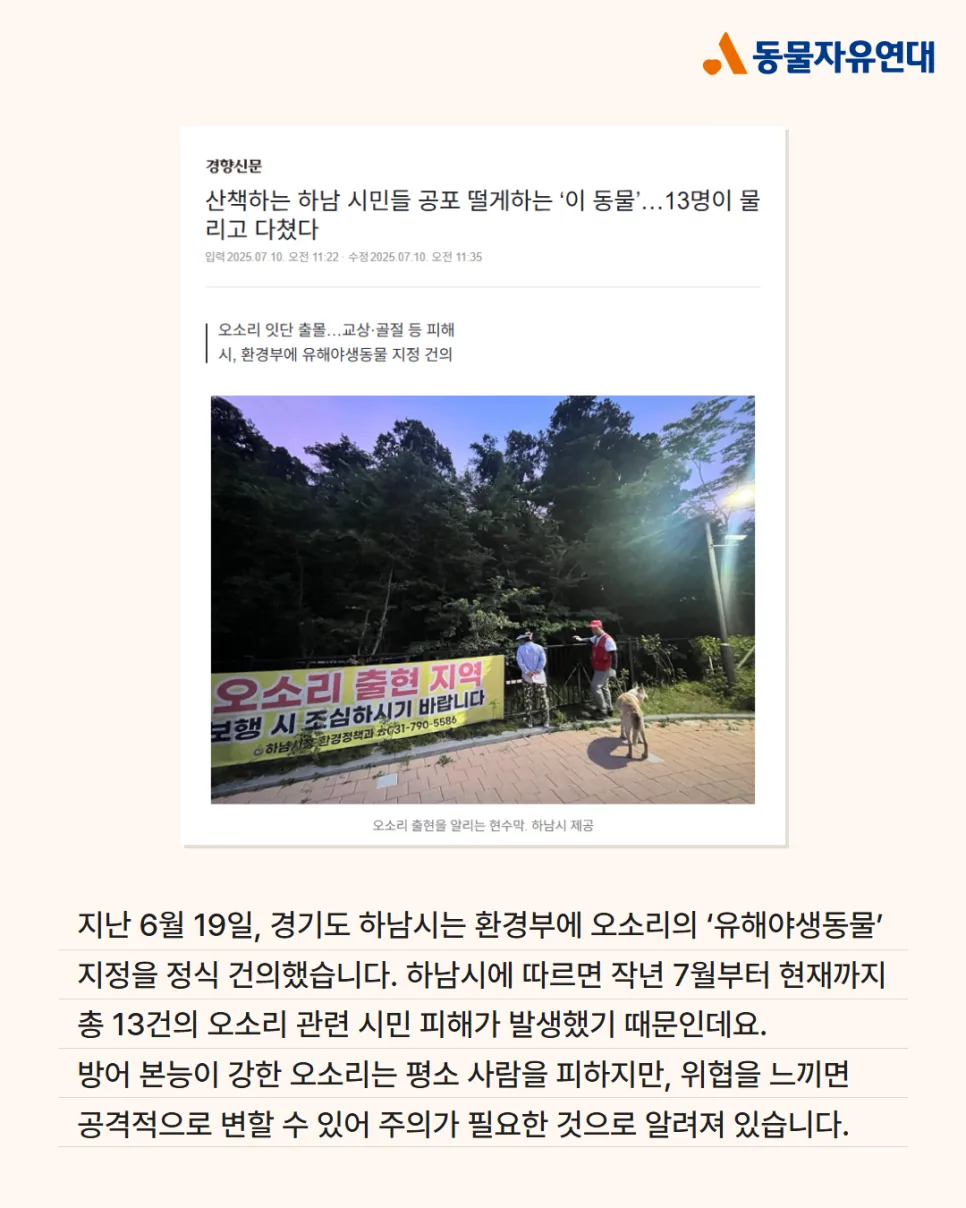 유해야생동물 지정 기준 2026: 오소리·꽃사슴 포획 논란과 대안 3