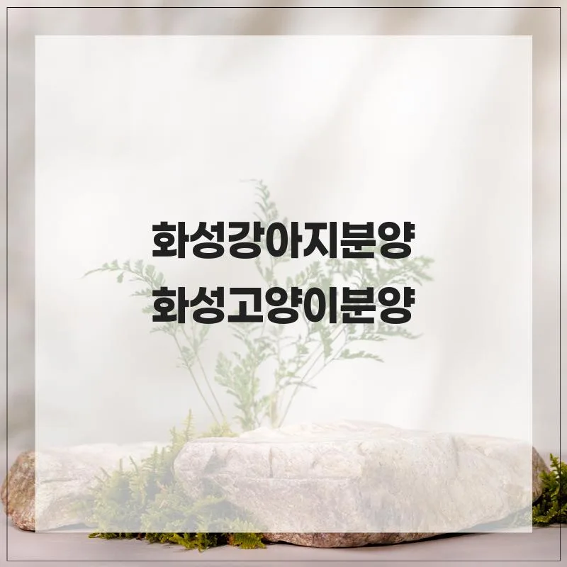 화성 강아지 고양이 분양 2026: 안심 입양센터 선택 가이드 3