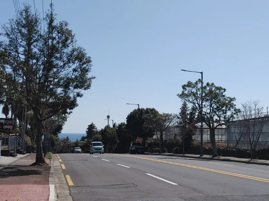 제주 두머니물 유원지 2026: 유채꽃, 바다, 해안길 완벽 가이드 3