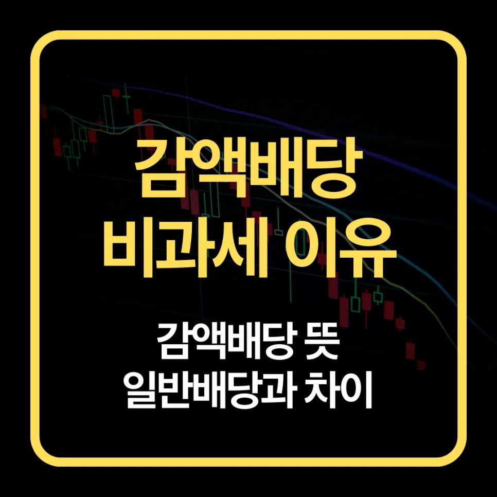 2026년 감액배당이란? 하나·신한금융 사례로 알아보는 비과세 배당